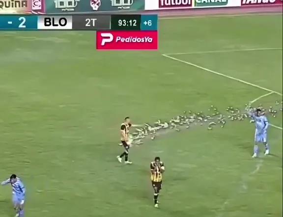 net, dingy, Ultra net, dingy, Ultra