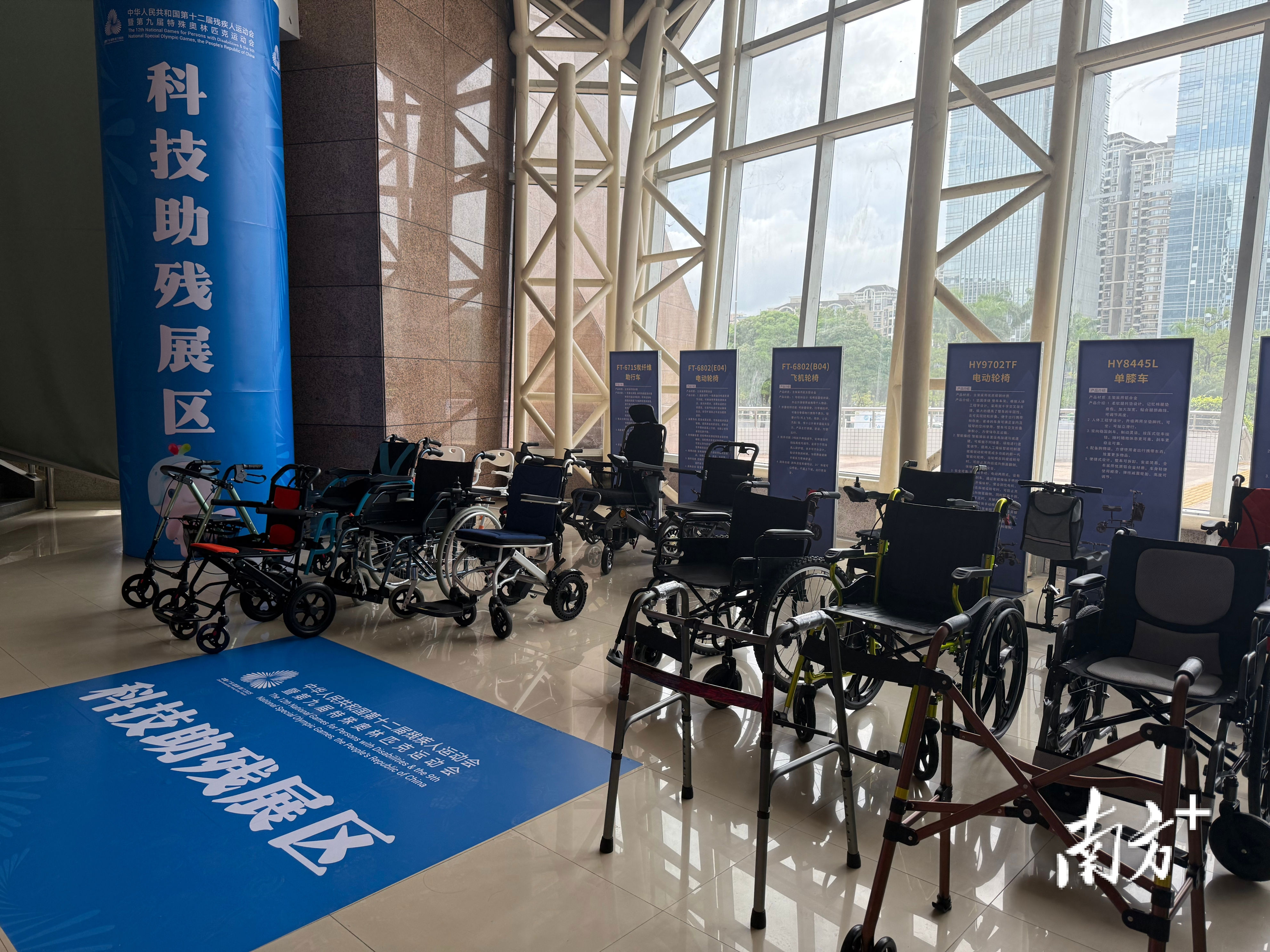 特奥会比赛, 项目